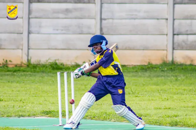 Cricket